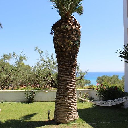 Panorama Studios & Apartments Ammoudi Dış mekan fotoğraf