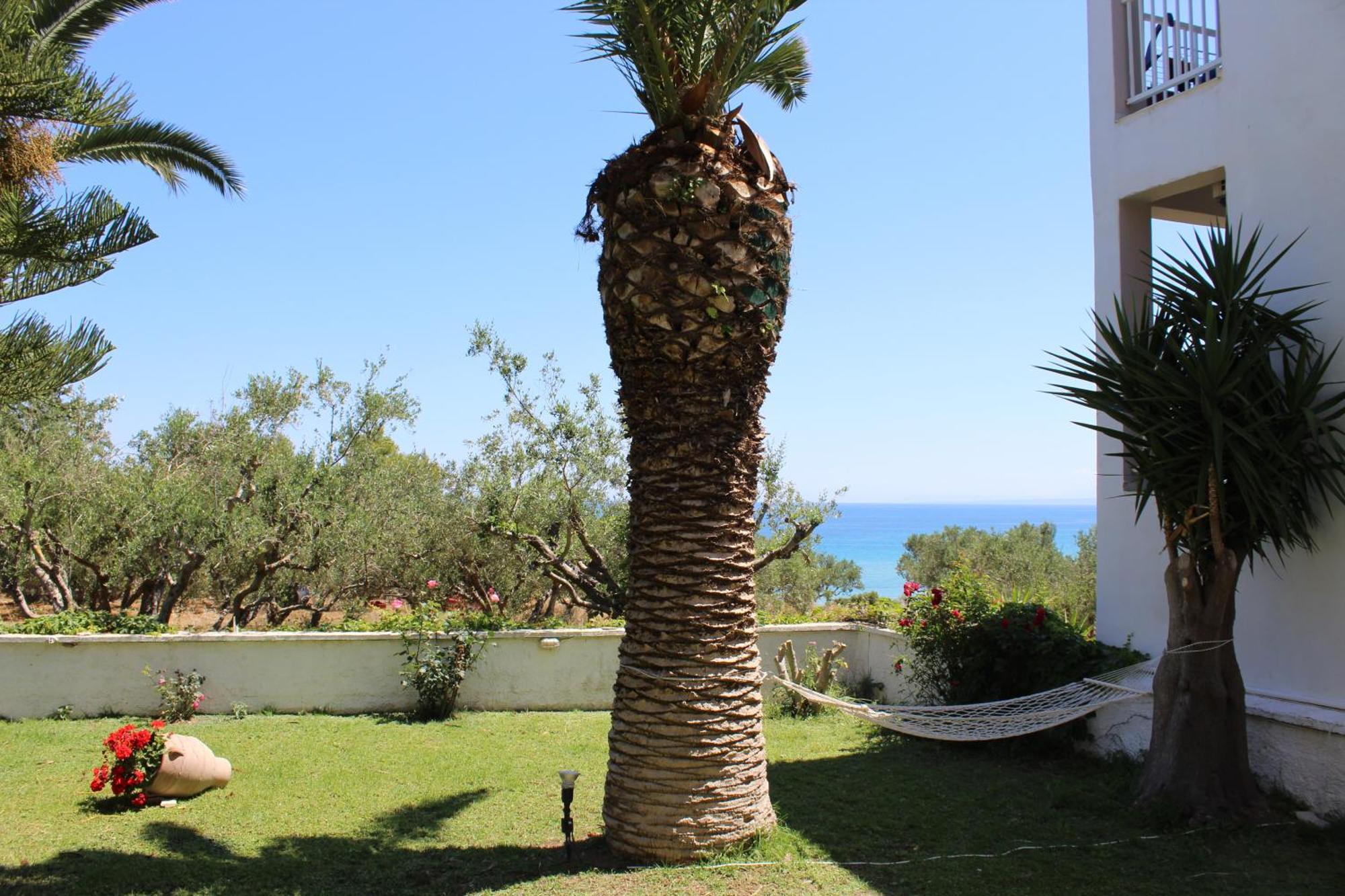Panorama Studios & Apartments Ammoudi Dış mekan fotoğraf