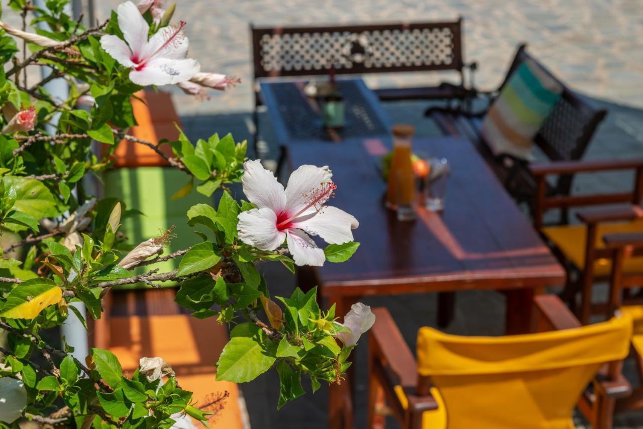 Panorama Studios & Apartments Ammoudi Dış mekan fotoğraf